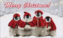 Merry Christmas Greeting Cards