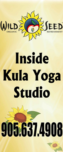 Wild Seed Organic Refreshment Inside Kula Yoga Studio Banner Stand