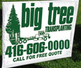 Big Tree Transplanting Lawn Sign